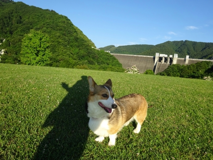 d0378837_08282477.jpg