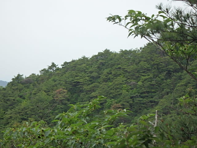 f0334143_19422612.jpg