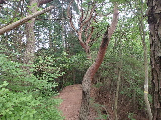 f0334143_19431342.jpg