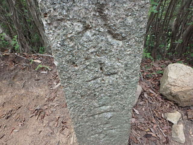 f0334143_19433623.jpg