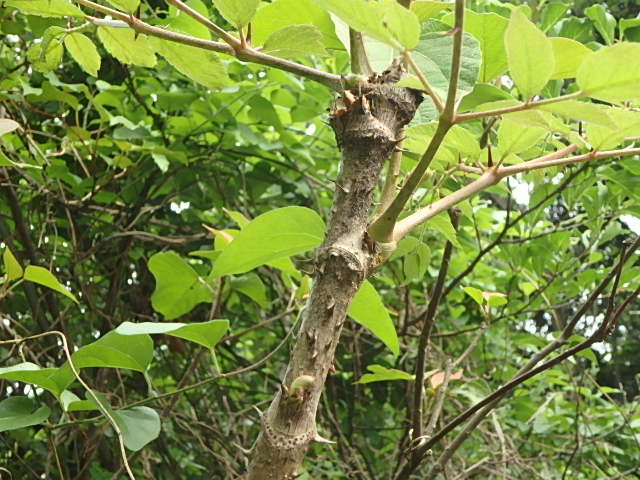 f0334143_1950318.jpg