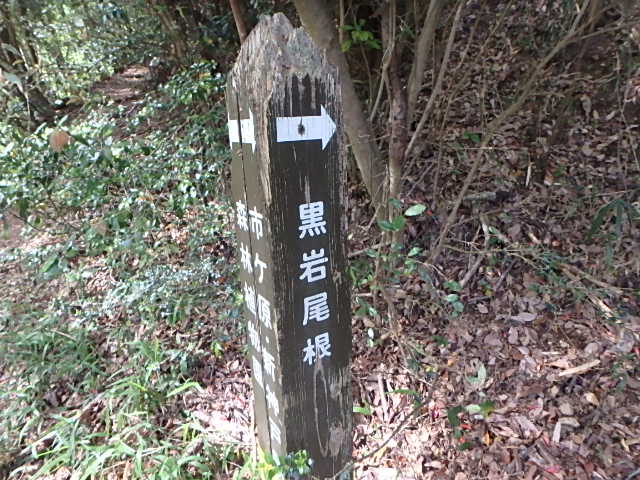 f0334143_1951188.jpg
