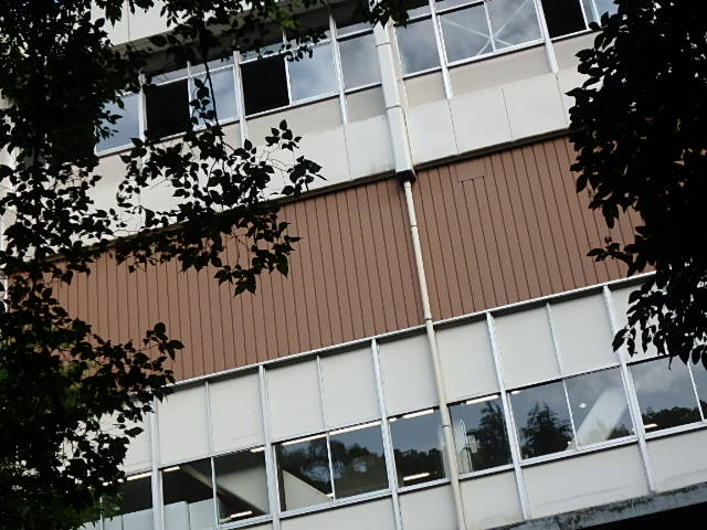 f0334143_19572165.jpg