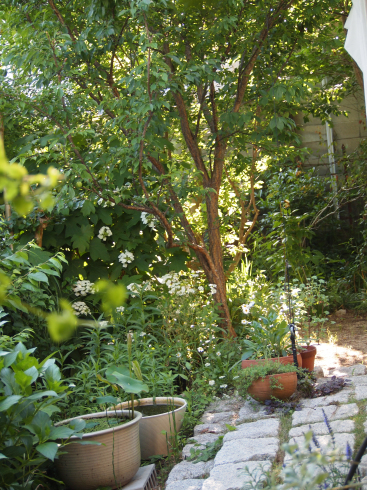d0145345_21194213.jpg