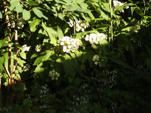 d0145345_21201044.jpg