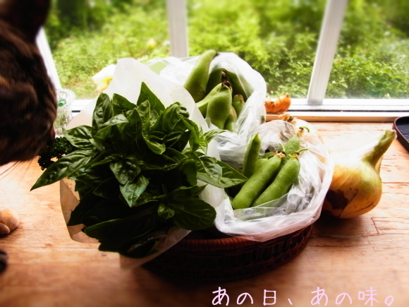 a0305046_11282690.jpg