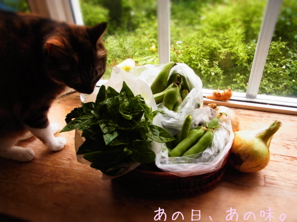 a0305046_11284230.jpg