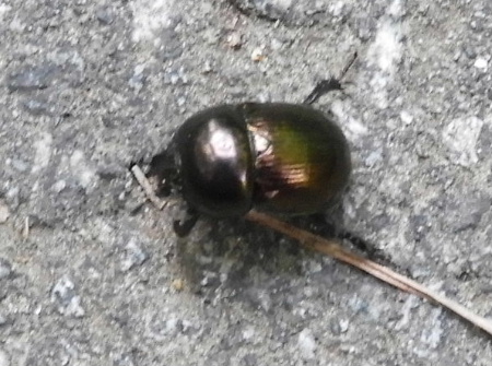 e0172950_21195933.jpg