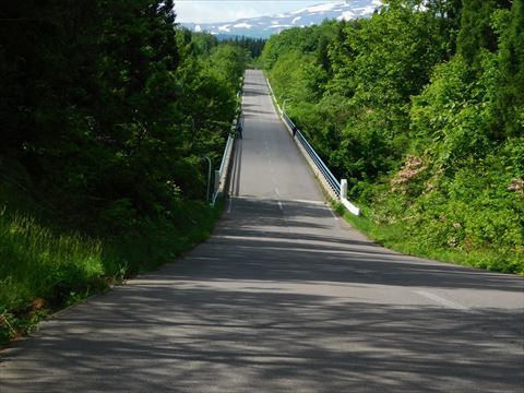 b0220251_05425923.jpg