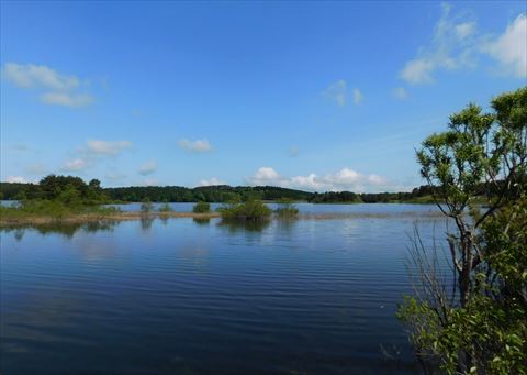 b0220251_05452950.jpg