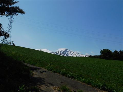 b0220251_05520903.jpg