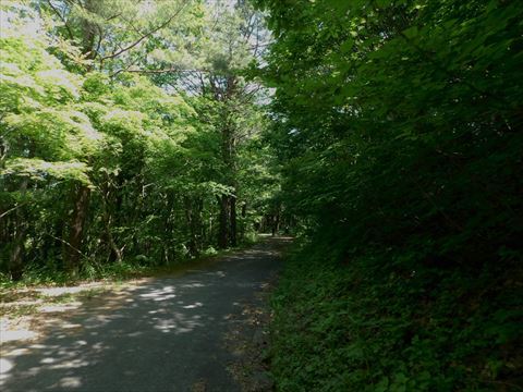 b0220251_05531604.jpg