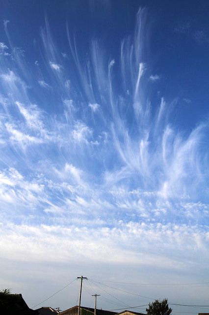a0335853_06491268.jpg