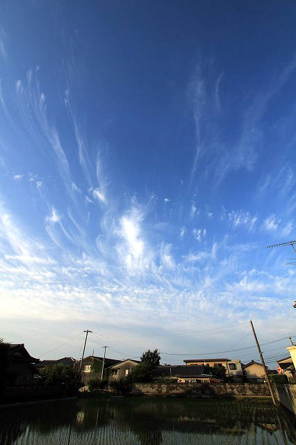 a0335853_06494899.jpg