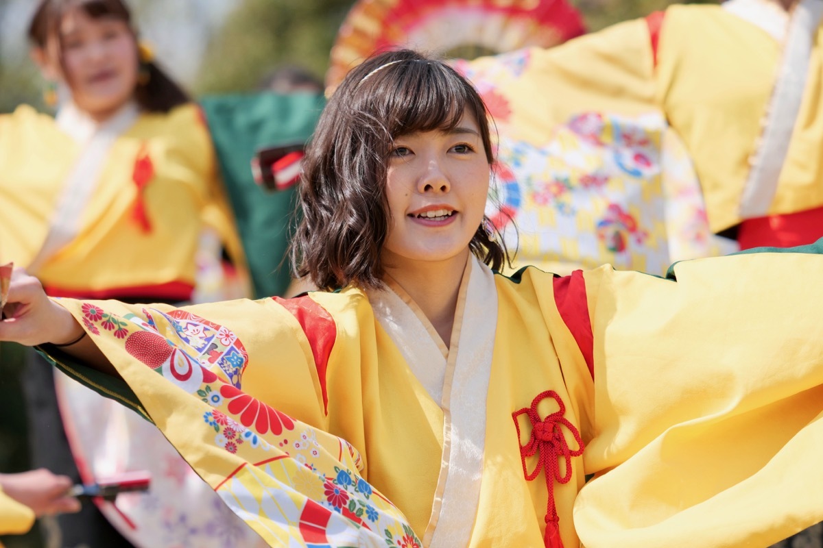 ２０１８川棚菜の花よさこいその１３（山口県立大学奄美連合萩組その１）_a0009554_00184971.jpg