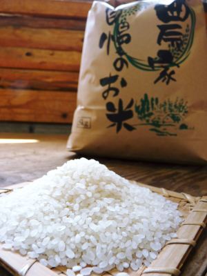 熊本県菊池市七城町『砂田のこだわりれんげ米』令和5年度の栽培が本格始動 種まき~苗床作り(2023年)_a0254656_17381661.jpg