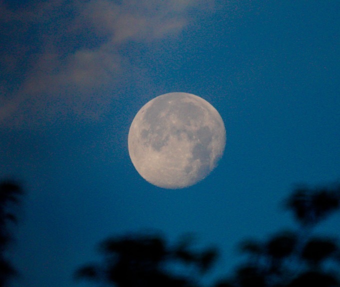 a0248459_14033070.jpg