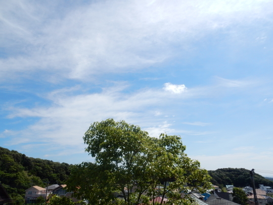 ’18,6,1(金)療養中に考えたこと!_f0060461_09121873.jpg