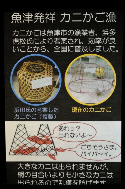 富山湾大水槽と深海生物コーナー_c0081462_20194749.jpg