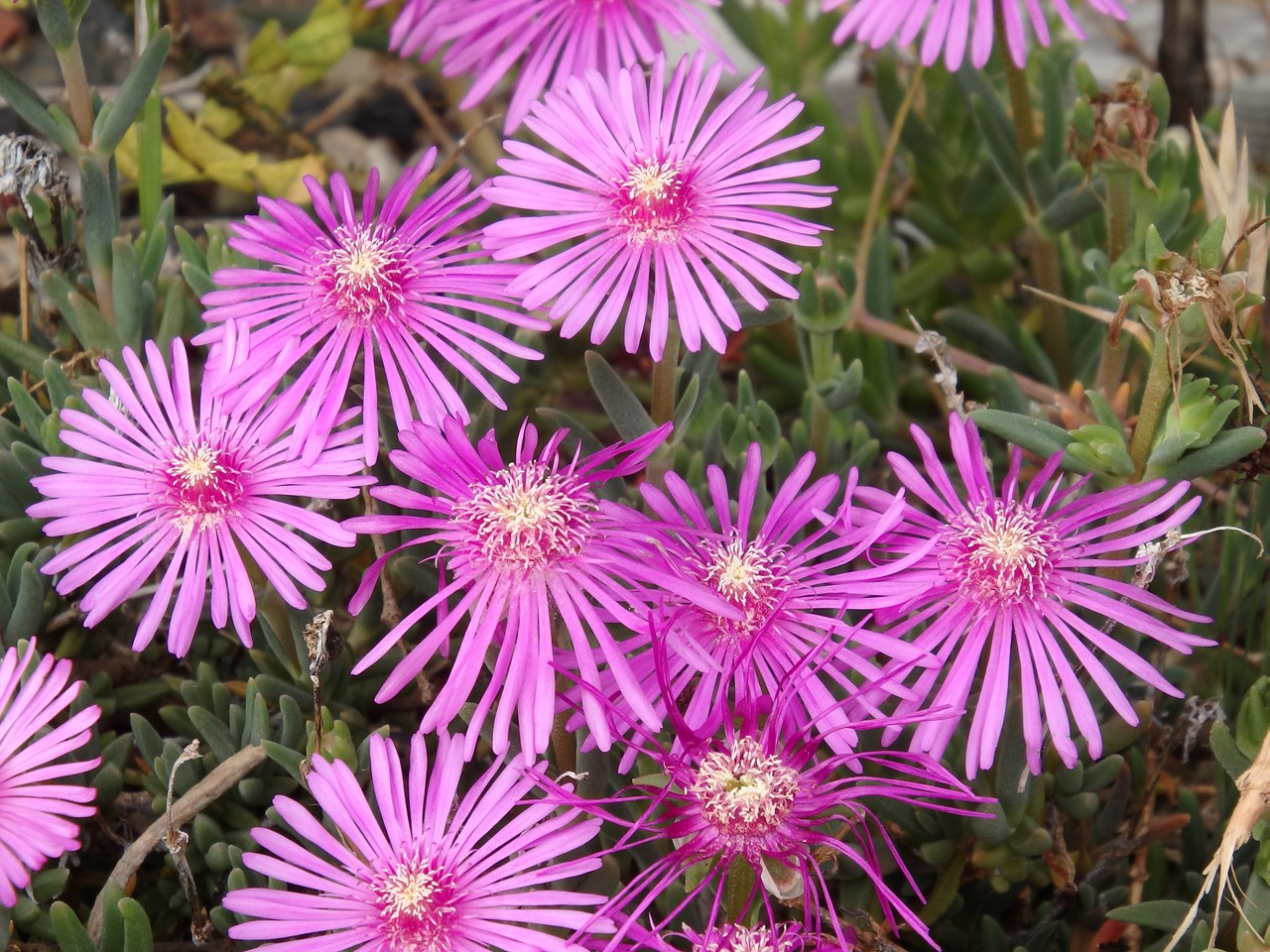 d0054276_20333663.jpg