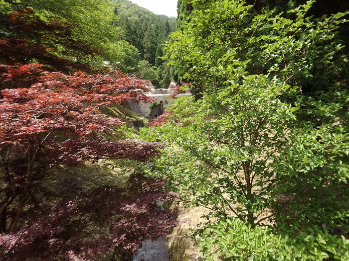 d0054276_2036275.jpg