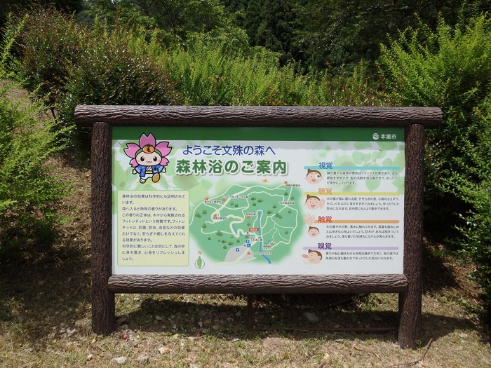 d0054276_2036634.jpg