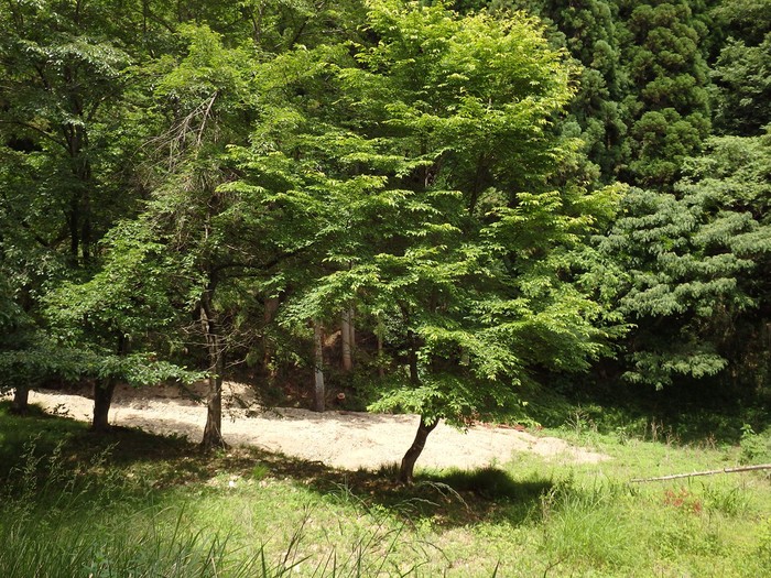 d0054276_20371882.jpg