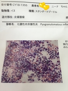 c0283778_17034740.jpg