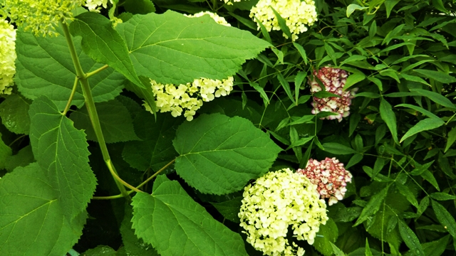 f0366679_16431991.jpg