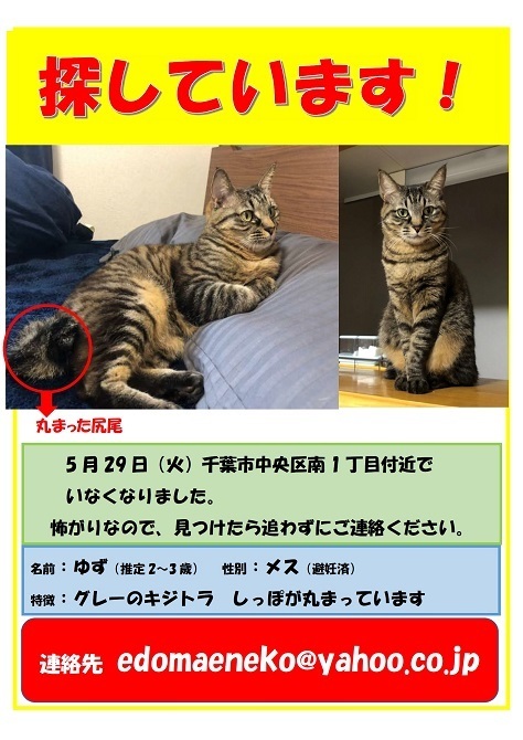 b0377882_08224938.jpeg