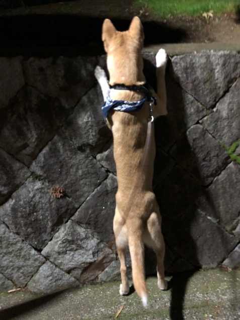 c0332184_14290534.jpeg