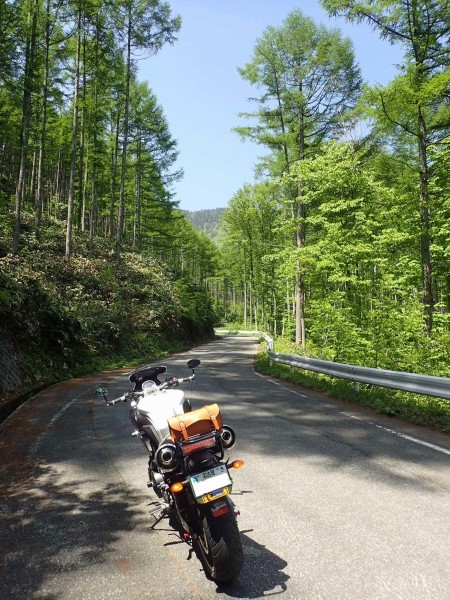 a0339187_11155678.jpg