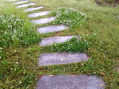 e0246788_15292186.gif