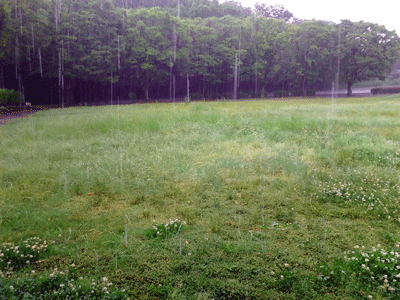 e0246788_15463245.gif