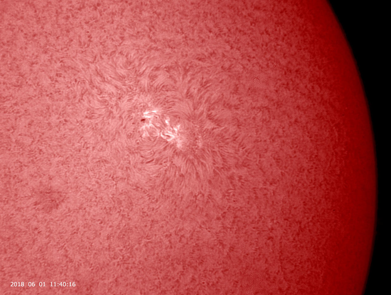 6月1日の太陽_e0174091_13463228.jpg