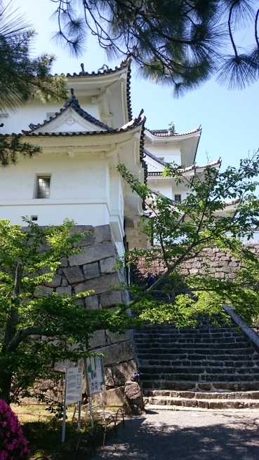 a0036693_19400713.jpg