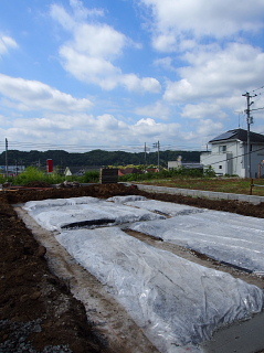 c0039501_11574452.jpg