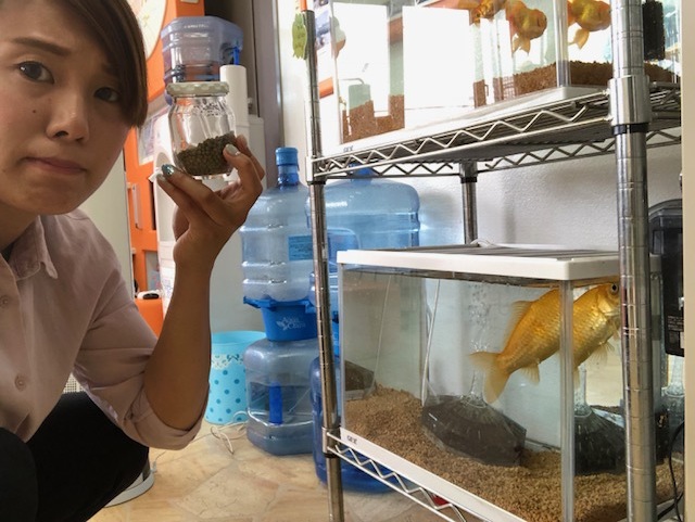 6月2日(土)✿しまぶろぎゅ✿TT H様&MRワゴン G様納車(/・ω・)/ご成約 ハリアーS様(*´ω`*)_b0127002_17385247.jpg