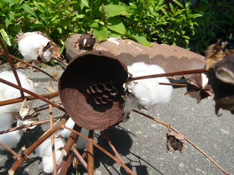 c0112206_1926579.jpg
