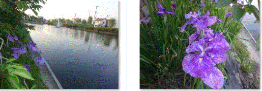 f0231709_23094328.gif