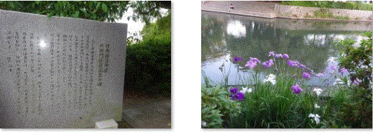 f0231709_23124237.gif