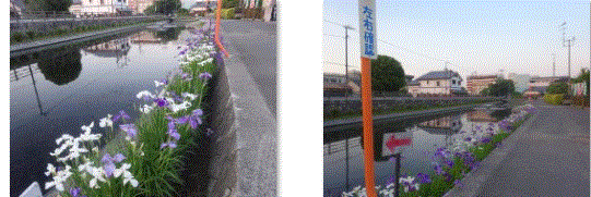 f0231709_23192946.gif