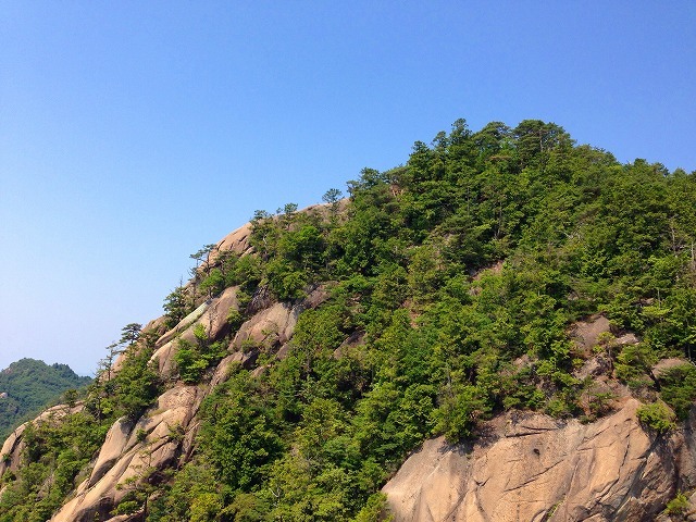 b0062010_16392430.jpg