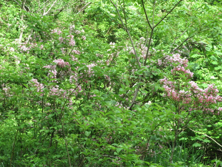 f0219710_19044332.jpg