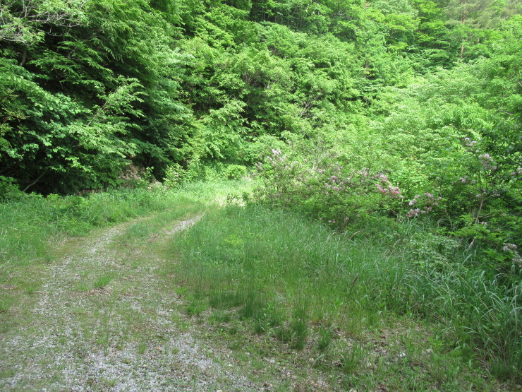 f0219710_19050581.jpg