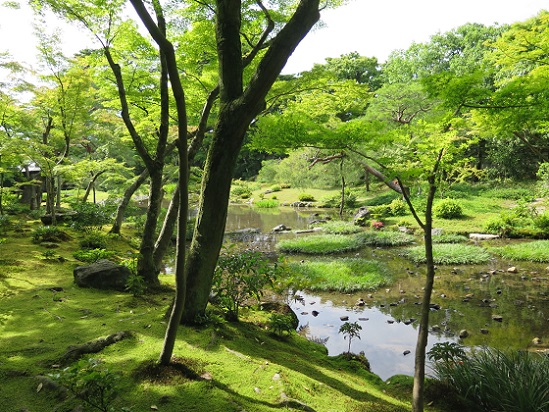 京都東山、無鄰菴_c0192215_14584653.jpg