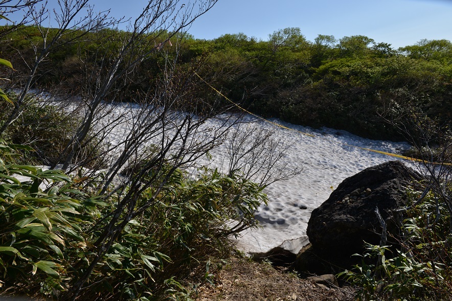 栗駒山今季初登頂 その1_e0349817_21521534.jpg