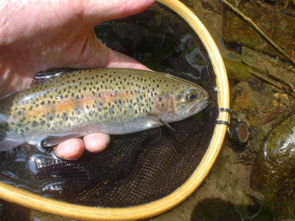 f0280717_14380592.jpg