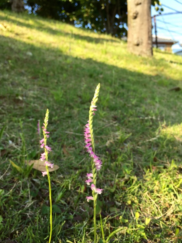 f0229926_19114767.jpeg