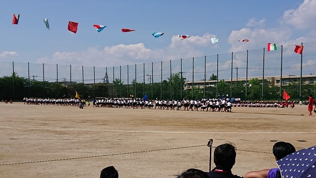 7中 自転車 習志野市
